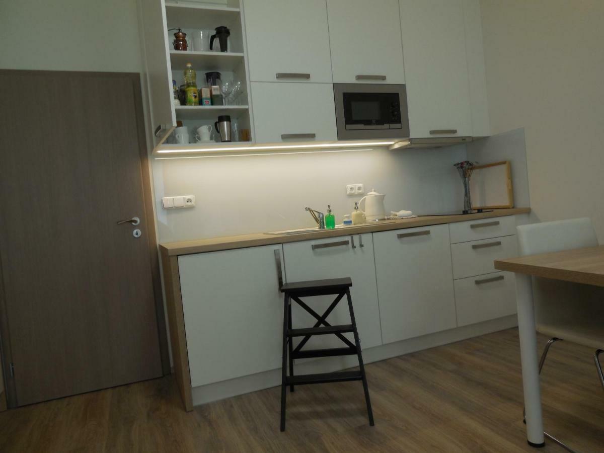 Apartment Potter Μπρνο Εξωτερικό φωτογραφία